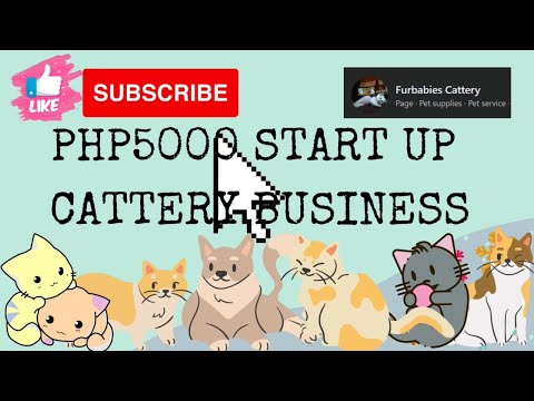 PHP5000 START UP CATTERY BUSINESS!!!