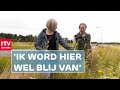 De bermen in Drenthe hebben de mooiste kleuren | ROEG | RTV Drenthe