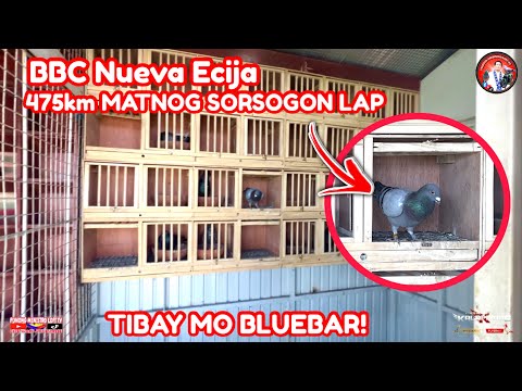 EP1248 475km MATNOG SORSOGON TINEDE MO BLUEBAR LET'S GO!