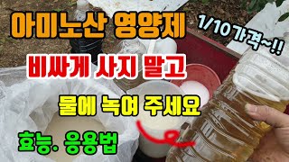 아미노산영양제 비싸게 사지 말고 이가루를 물에 녹여 주세요 아미노산효능. 응용법 식물영양제 수세회복 냉해동해…