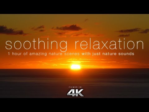 Soothing Relaxation: 1HR of 4K Nature Scenes + Music with Harp, Flute, Strings for Relaxation Video