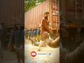Lal Salaam First Look Superstar Rajinikanth As Moideen Bhai In Lal Salaam Shorts