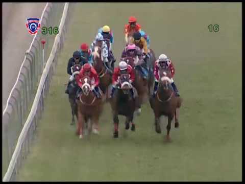 2016.10.29 Duke of York Cup (MRI) - Parachute Man