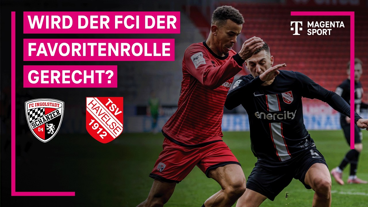 Ingolstadt 04 vs TSV Havelse Highlights