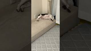 確認の仕方が独特なフレブル