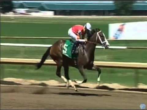 Cody Law (#5) WINS 7-5-2014 at Ellis Park