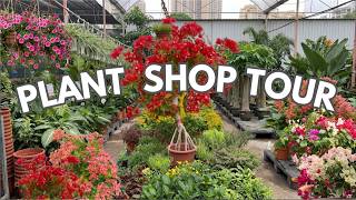 🌱 A Plant Shop Visit | Plant Shop Walking Tour | A Day in Green