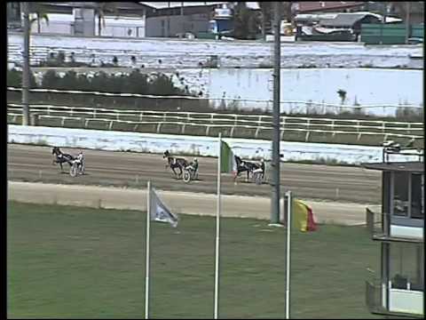 Trotto 25/08/2015 - 3° prova di qualifica