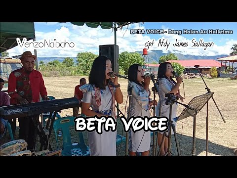 BETA VOICE || "DANG HOLAN AU HALLETMU"
