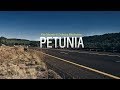 Alick Macheso Petunia 2000