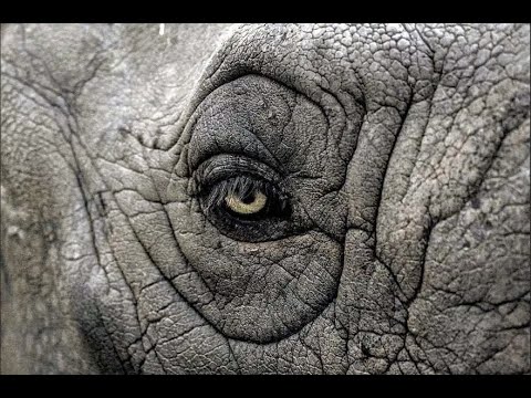 La Notte del Piano Vinci - Bologna e i depistaggi, Massoneria, P2, Servizi italiani e CIA.