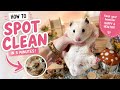 How To SPOT CLEAN A Hamster Cage The Right Way