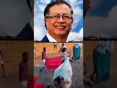 El PsoE SE CARGA LA ILP ANTITAURINA DE NO ES MI CULTURA