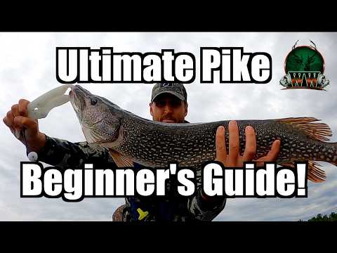 Beginner's Guide to Pike Fishing Success | How to Locate Fish | Top 3 Lures & Basic Rigs