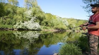 Ловля окуня в московской области