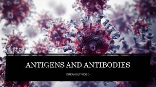 Antigens and Antibodies
