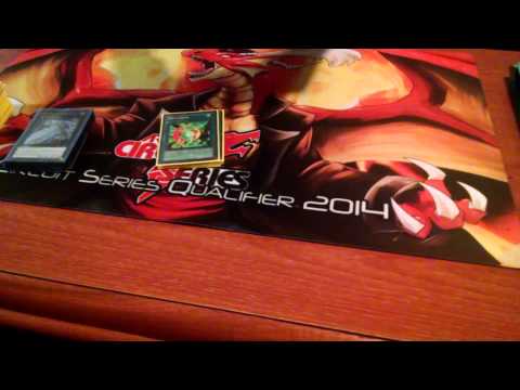 ARG Top 16 1K Raleigh Shaddoll Artifacts