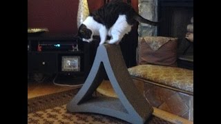 PetFusion 3-Sided  Vertical Scratcher Overview