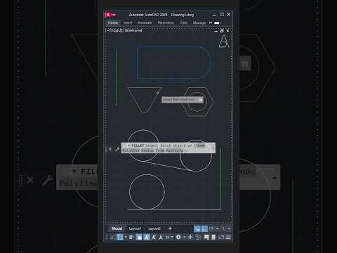 Intermediate To Advanced AutoCAD architecture floorplan architect