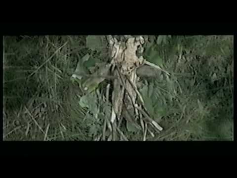 AV AV AV - Habitat (Official Music Video)
