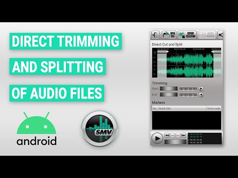 SMV Audio Editor