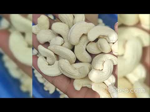 White whole cashew w210, packaging size: 10 kg