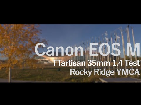 Rocky Ridge YMCA Raft of Ducks - Calgary Alberta - Canon EOS M 4K RAW #shorts