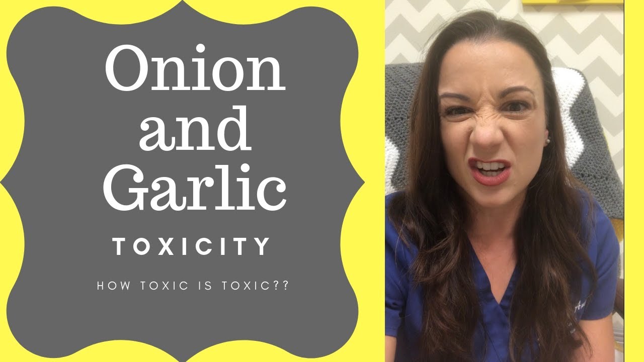 Onions and garlic...how toxic is toxic??