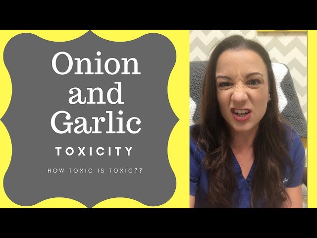 Onions And Garlic, How Toxic Is Toxic?