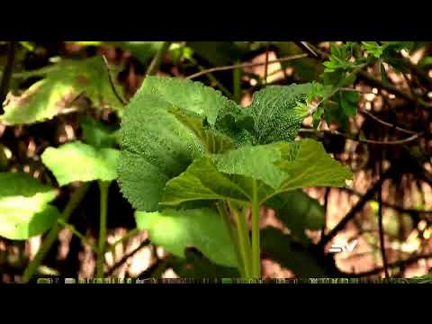 #ENVIVO🔴 | NOTICIERO ECUADOR TELEVISTAZO 1PM | 26 de diciembre de 2025