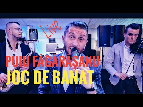 Puiu Fagarasanu❎Joc de Banat💯Live 2024