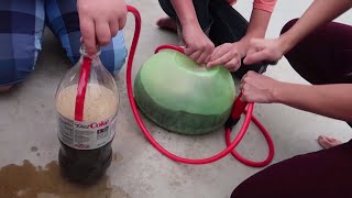 Super Wubble Bubble Ball Mentos Diet Coke Fun Experiment for Kids!!