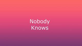 Veruca Salt - Nobody knows (lyrics, rare demo)