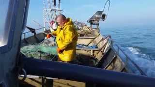 preview picture of video 'bateau l'mousse st aubin sur mer en seine maritime.'