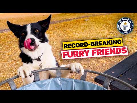 Meet the Dog Whisperer and Her Record Breaking Dogs