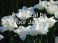 Noor Jahan