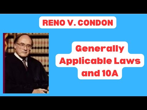 Verfassungsrecht 101: Reno vs. Condon erklärt