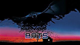 New Hollywood Bats Full Horror Movie In Hindi Dubb