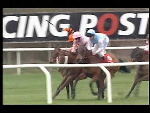 2008 Ladbrokes World Hurdle Inc Replay & Enclosure