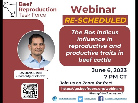 BRTF Spring Webinar - The Bos indicus influence in reproductive and productive traits in beef cattle