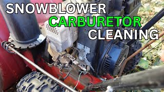 Snowblower Carburetor Cleaning