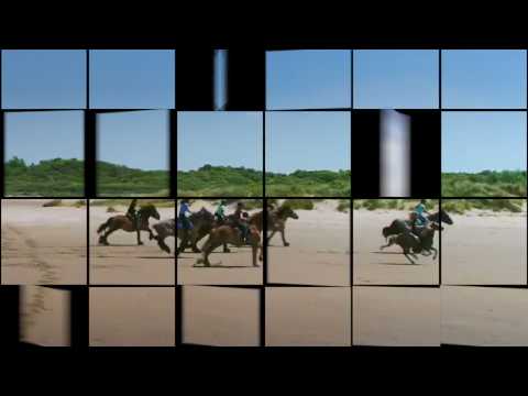 t mooiste van Voorne Putten