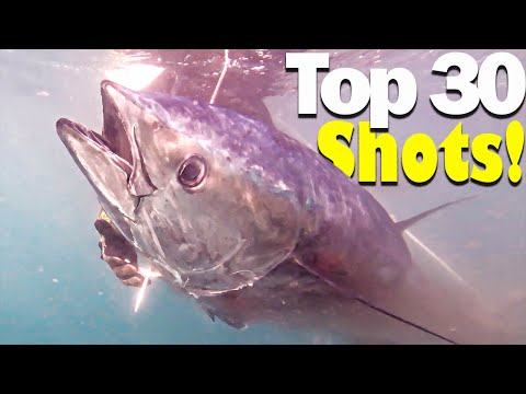 Top 30 SHOTS Compilation🔝Spearfishing MASTERPIECE