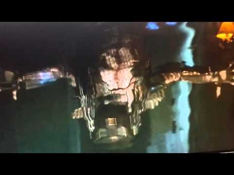 Predator kills Rasta