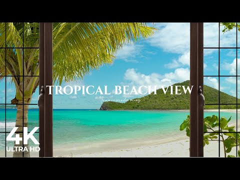 4K Tropical Beach window view in the Caribbean - Palm Trees, Ocean Sounds, Waves, White Noise