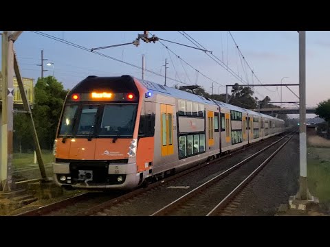 Sydney Waratah/B set train set is: (B-33) at Minto train station 19/9/23￼￼