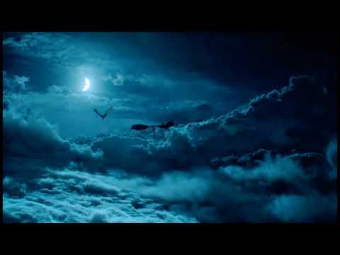 Room For Flying video