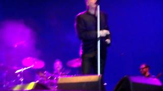 Loquillo en Tres Cantos Tatuados