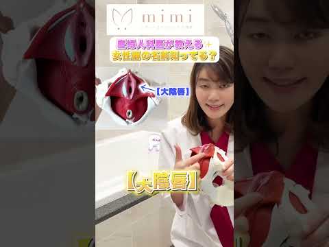 イルカ:女性の快楽器官の証拠