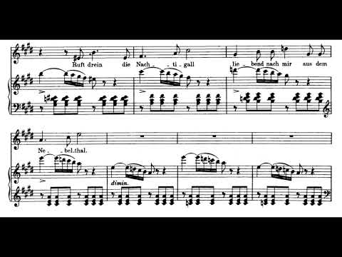 Ganymed (F. Schubert) Score Animation